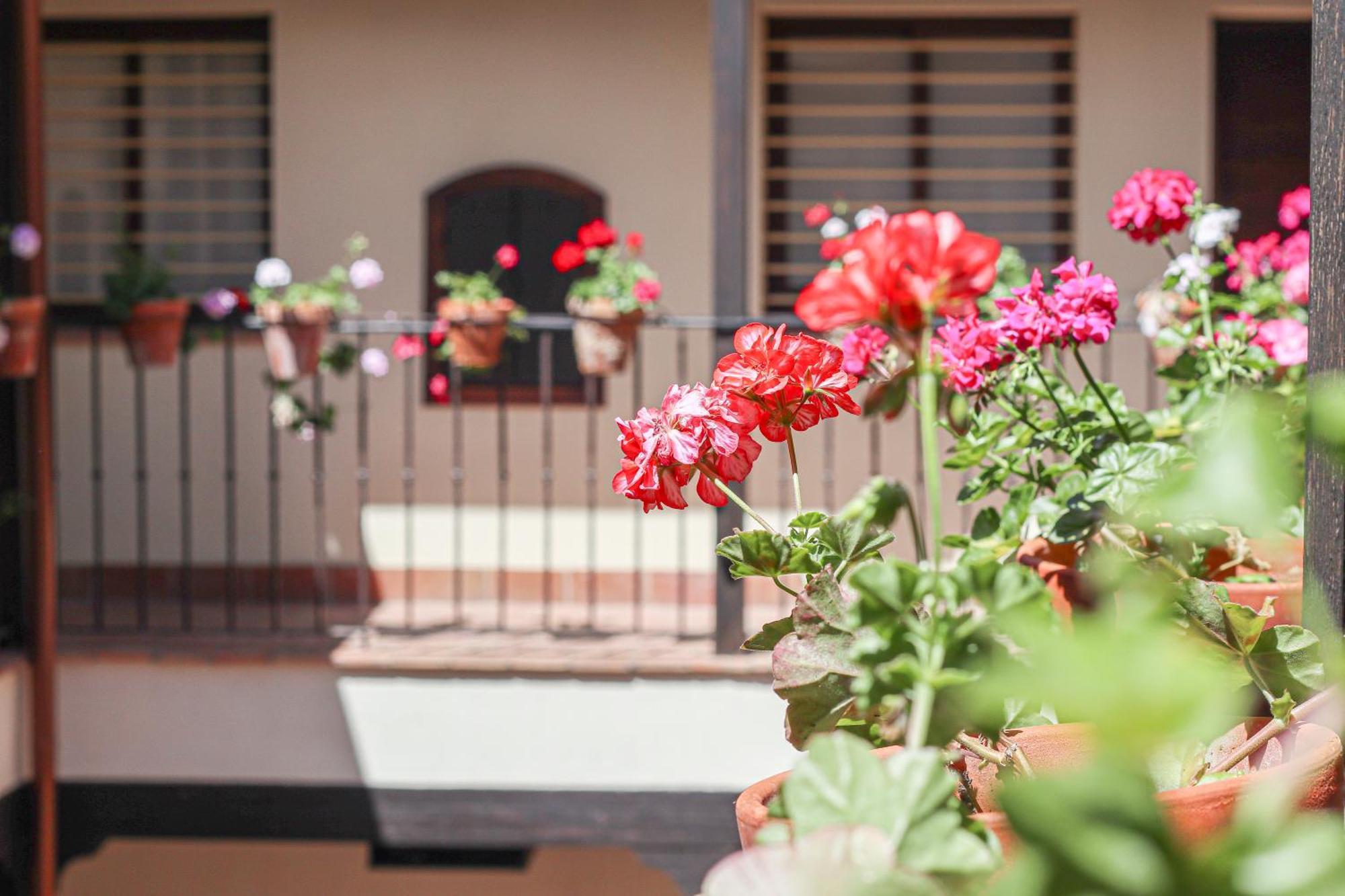 Charming Apt In The Center - 10M Walk Isla Magica Sevilla Exterior foto